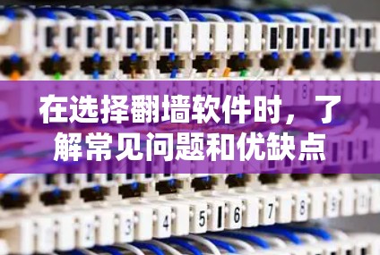 在选择翻墙软件时，了解常见问题和优缺点是一个好开始。以下是对常见问题的整理和分析