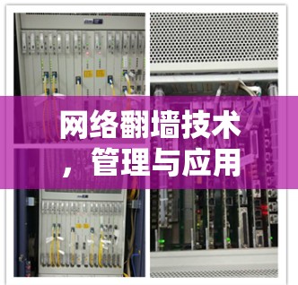 网络翻墙技术,管理与应用 网络翻墙技术,管理与应用