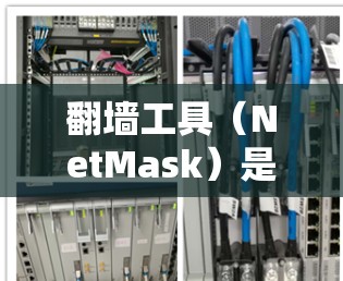 翻墙工具(NetMask)是一种用于检测和过滤网络攻击的工具,广泛应用于网络安全领域。以下是对翻墙工具的对比分析,供参考 翻墙工具(NetMask)是一种用于检测和过滤网络攻击的工具,广泛应用于网络安全领域。以下是对翻墙工具的对比分析,供参考
