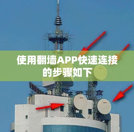 使用翻墙APP快速连接的步骤如下