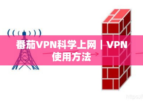 番茄VPN科学上网｜VPN使用方法