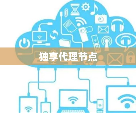 独享代理节点