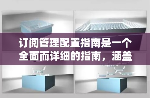 订阅管理配置指南是一个全面而详细的指南，涵盖了从订阅类型到系统日志，再到权限管理等多个方面。以下是对该指南的分步总结和建议