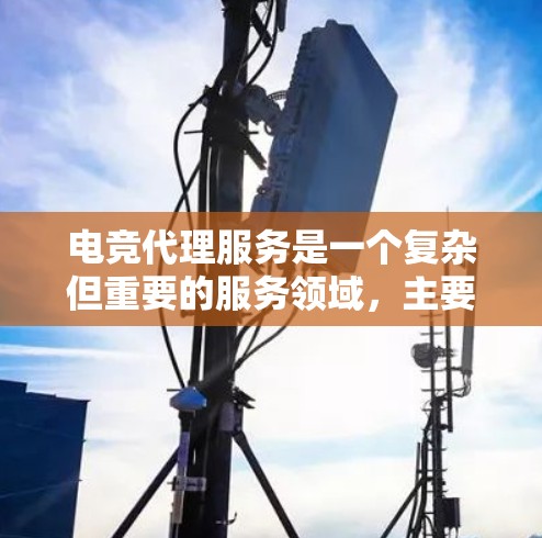 电竞代理服务是一个复杂但重要的服务领域,主要为其他球队提供比赛代理支持。以下是关于电竞代理服务的详细分析 电竞代理服务是一个复杂但重要的服务领域,主要为其他球队提供比赛代理支持。以下是关于电竞代理服务的详细分析