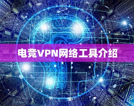 电竞VPN网络工具介绍 电竞VPN网络工具介绍