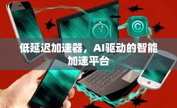 低延迟加速器,AI驱动的智能加速平台 低延迟加速器,AI驱动的智能加速平台