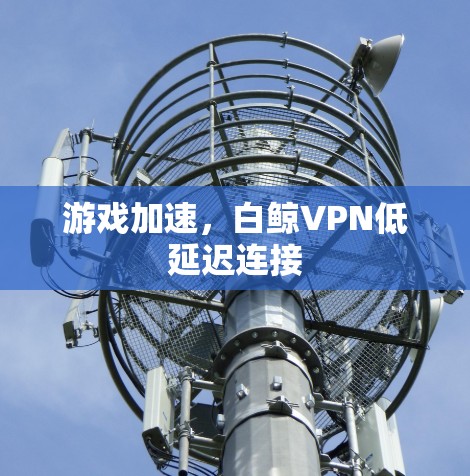 游戏加速，白鲸VPN低延迟连接