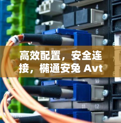 高效配置,安全连接,椭通安兔 Avth VPN 节点切换指南