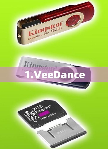 1.VeeDance 1.VeeDance